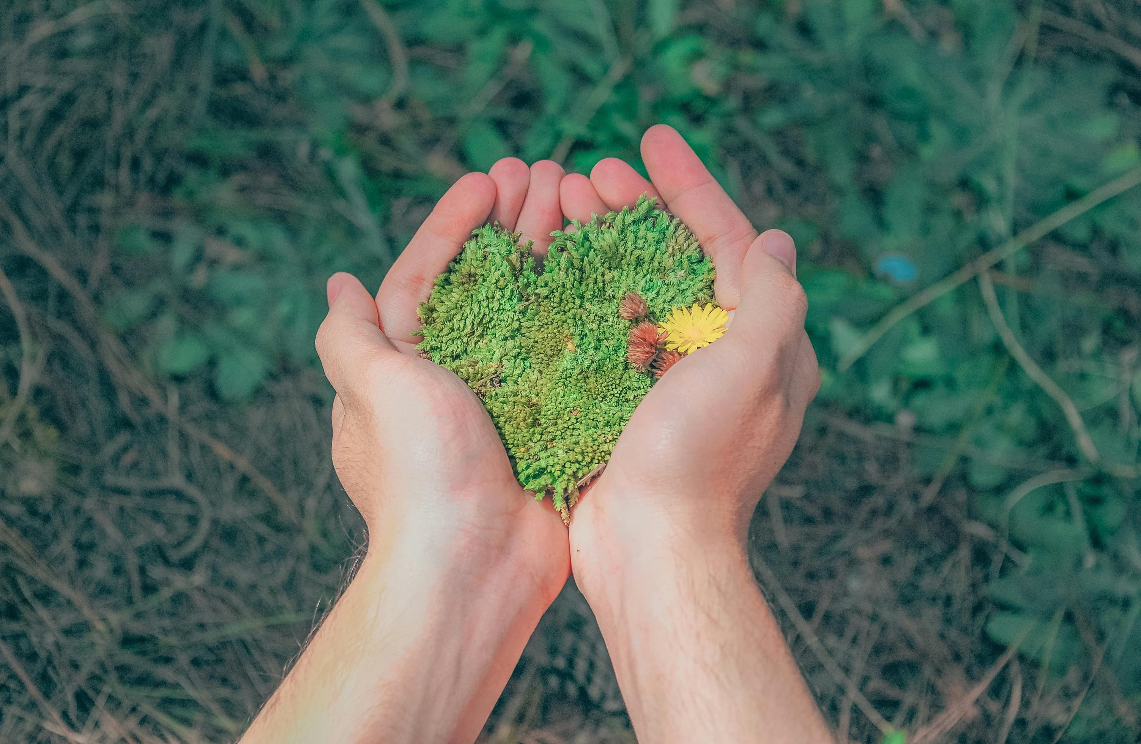 B Corp vs. LEED vs. ISO 14001: Understanding the Key Differences