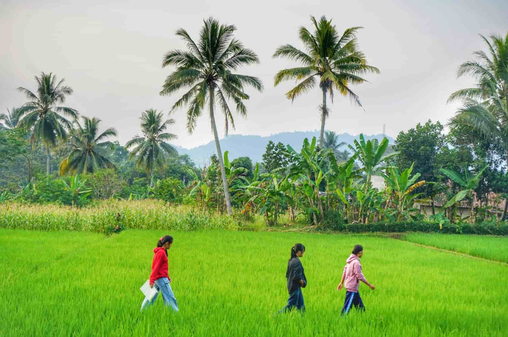 The Business Benefits to Climate Reporting