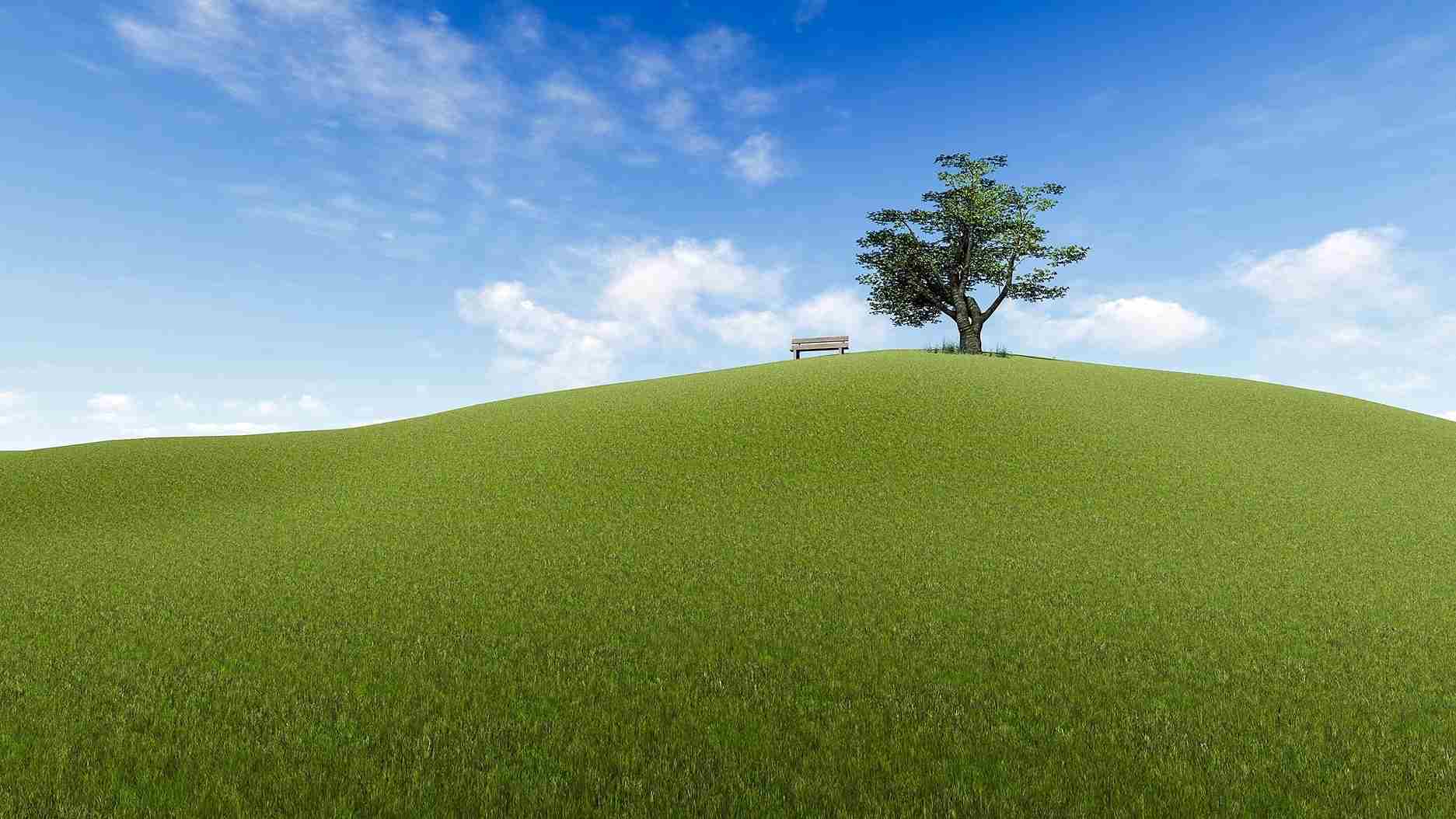 Carbon Offsets: Don't Let Perfect be the Enemy of Good