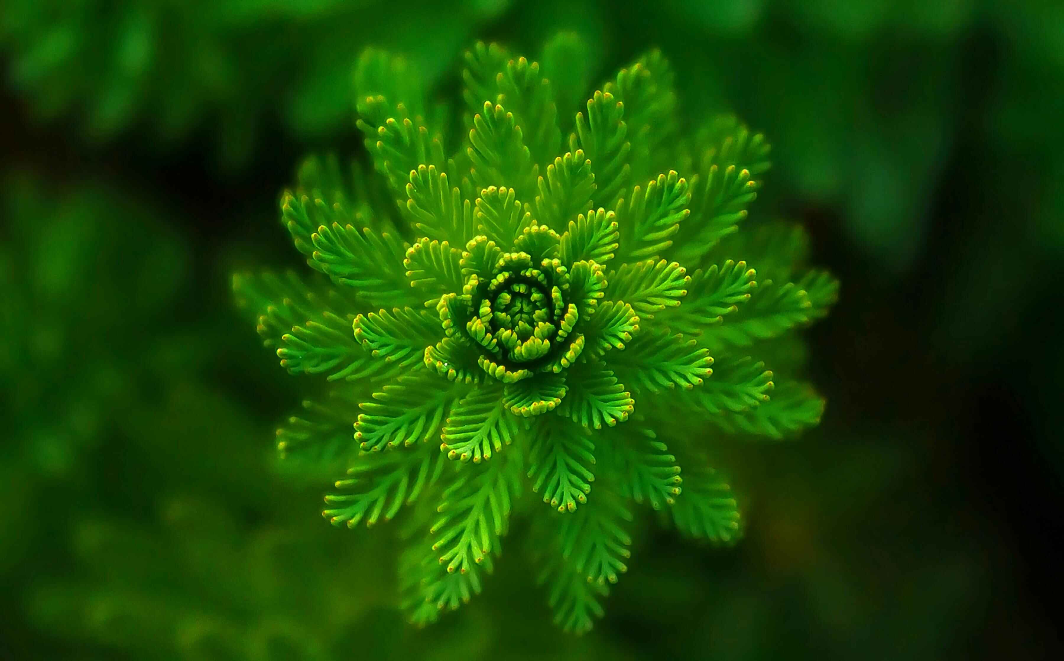 How to Avoid Greenhushing in a New Era of ESG Transparency