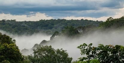 Offset Spotlight: Keo Seima Wildlife Sanctuary