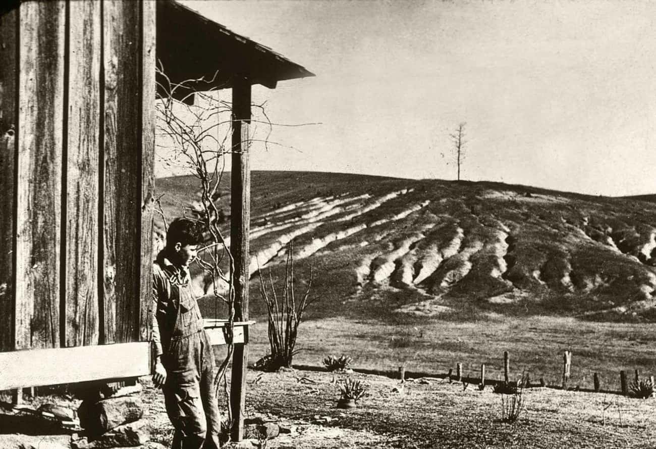 Pellagra, Sharecropping, and the Hidden Costs of Extractive