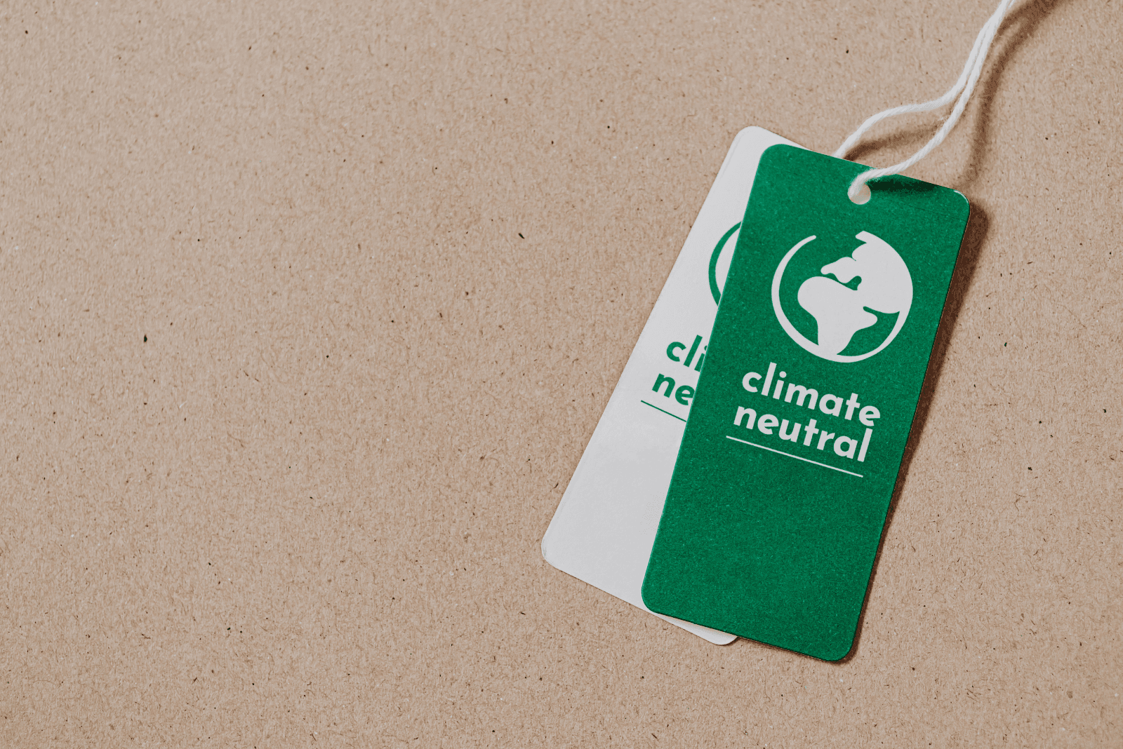 Sustainability Without Infrastructure Is Risky (Newsletter)