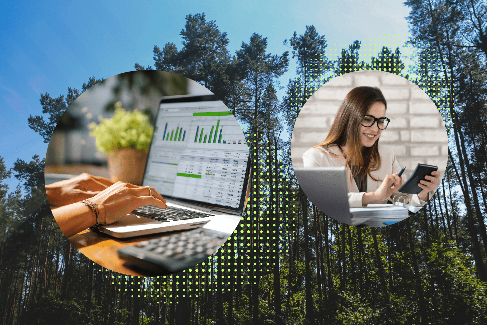 Top Carbon Management Software Platforms for Businesses