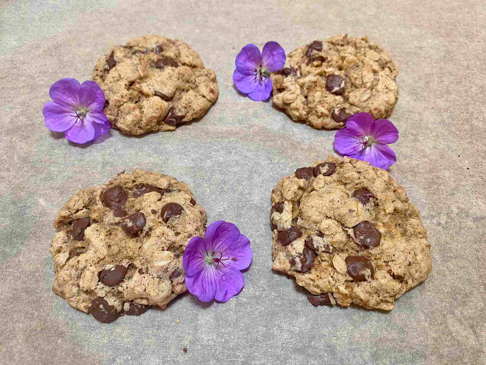 Vegan Oatmeal Chocolate Cookies
