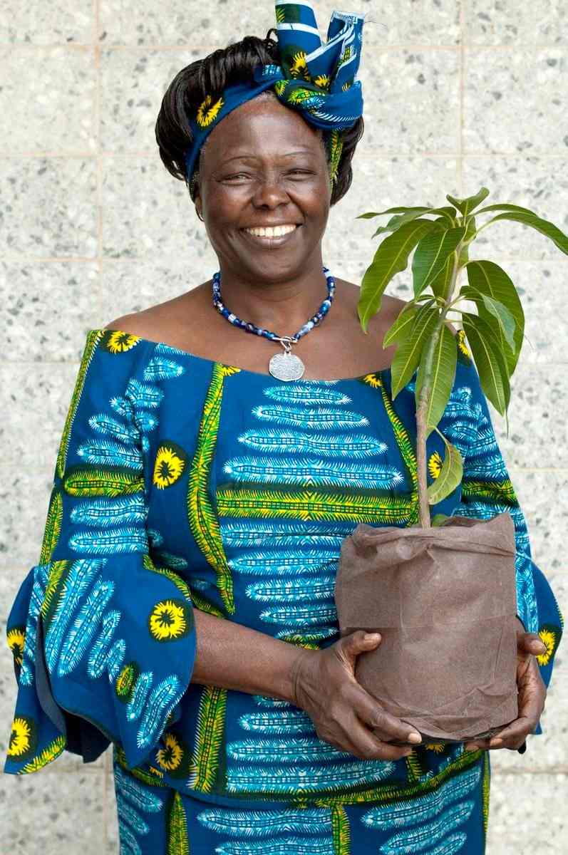 Wangari Maathai: The Kenyan Environmentalist and Visionary